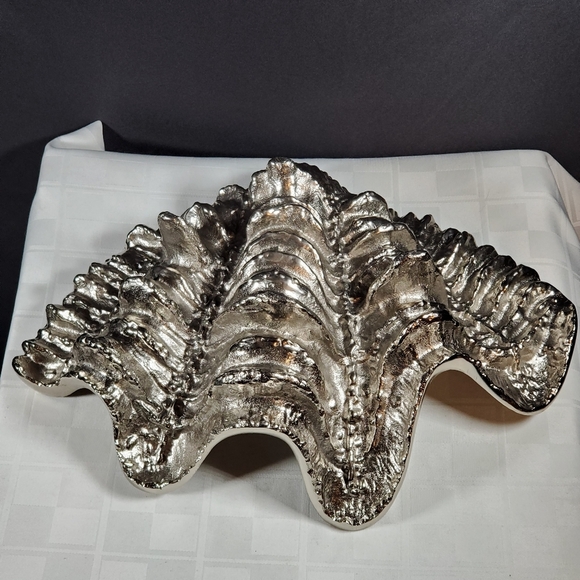 XL Sea Shell - Picture 3 of 4